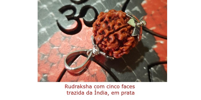 joia astrológica 50_rudrashka.jpg